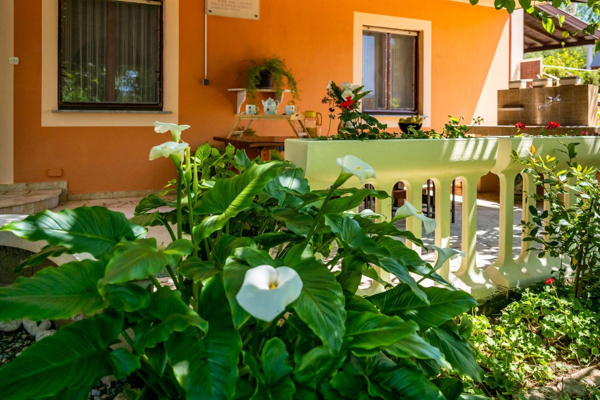 E-M Apartments With Private Pool Винкуран Екстериор снимка